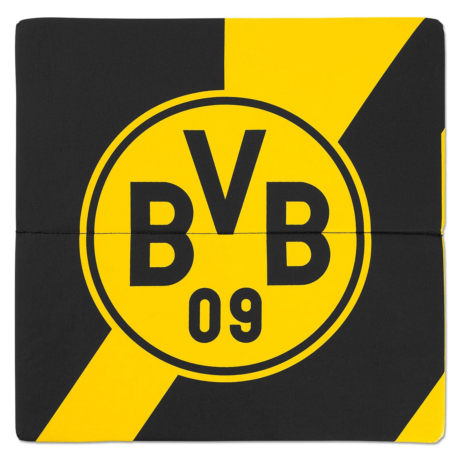 Borussia Dortmund partners with FootballPlus to support underprivileged  children In Singapore | Goal.com